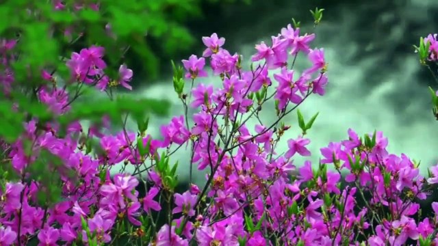 Vijay Benedict Hindi Christian Songs | Soulful Praise & Worship Music विजय बेनेडिक्ट हिंदी क्रिश्चियन गाने | दिव्य स्तुति और आराधना संगीत All Times Hit Old Hindi Christian Worship Songs |