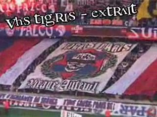 TIGRIS MYSTIC