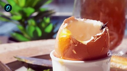 India To Launch fruit Flies To Space Aboard Gaganyaan's First Flight | Oneindia Tamil