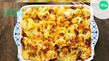 Gratin fondant de pâtes au maroilles
