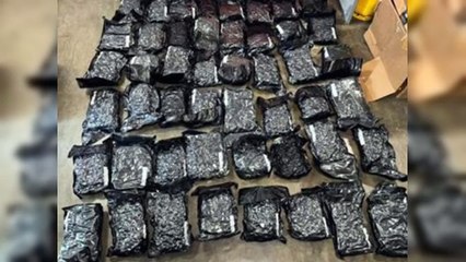 La DNCD confisca 57 paquetes de marihuana en el AILA
