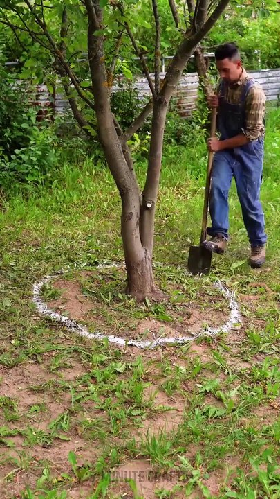 Easy & creative craft ideas for your yard!