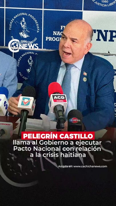 Pelegrín Castillo llama al Gobierno a ejecutar Pacto Nacional con relación a la crisis haitiana