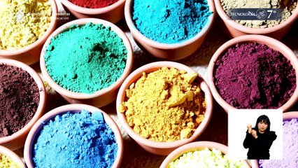 Labor y producción #14, 7º Tecnología Lección Educativa