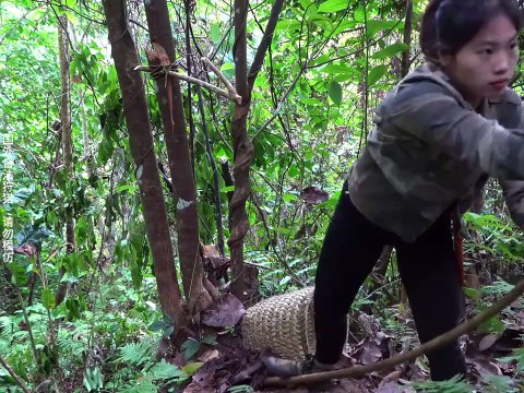 🌿 Rainforest Survival Girl - Primitive Living 🌿 #viralvideo #survival #camping #wildernesssurvival