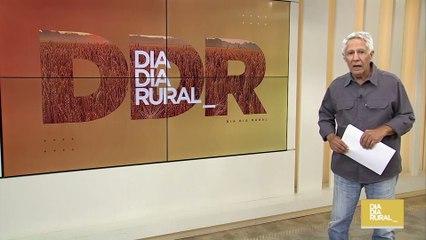 Impacto da IA na redução do desperdício de frutas, legumes e verduras