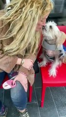 Loana réapparait dans une vidéo très inquiétante qui interroge ses fans