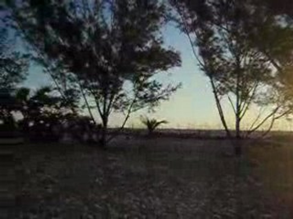 LES PALETUVIERS DE MATANITO