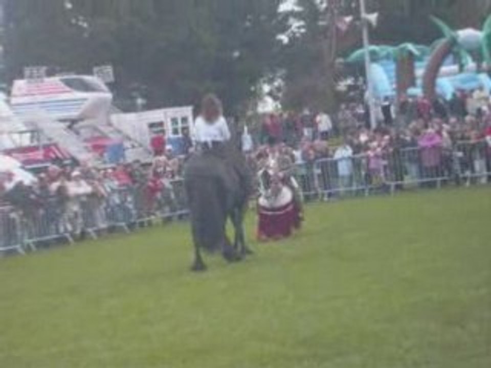 Démo dressage partie 2