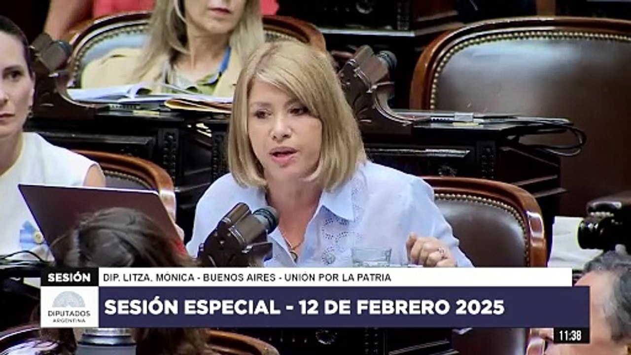 Litza apuntó a que Ficha Limpia será declarado inconstitucional por la Corte: "Eso ya ha ocurrido"