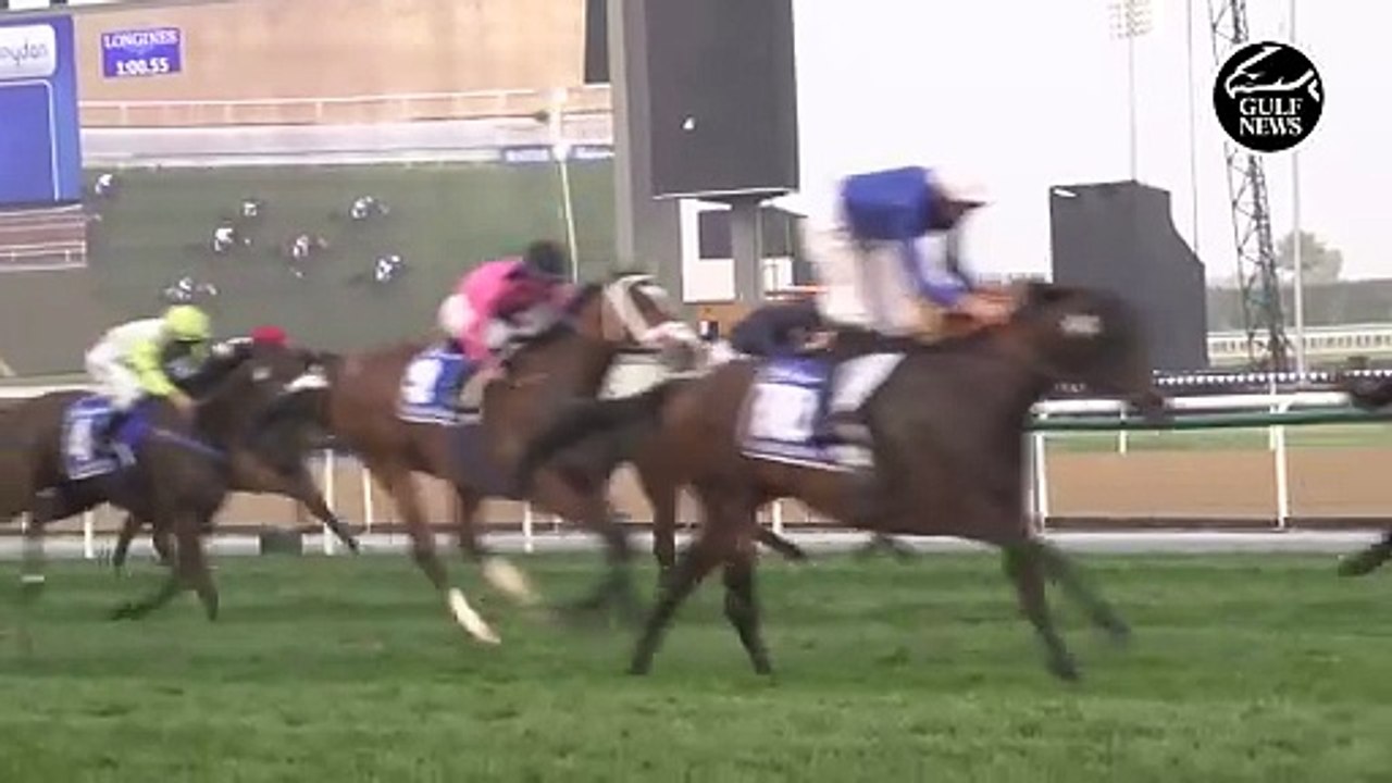 Calling horse races with Craig Evans