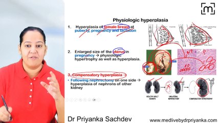 1. Cellular Adaptation: How Cells Change to Survive and Thrive 🔬