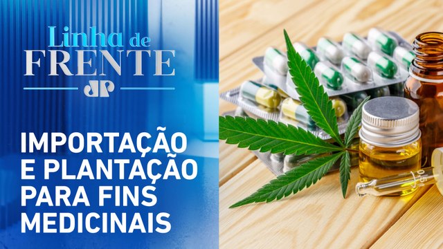 Anvisa deve criar regras para cultivo da cannabis | LINHA DE FRENTE