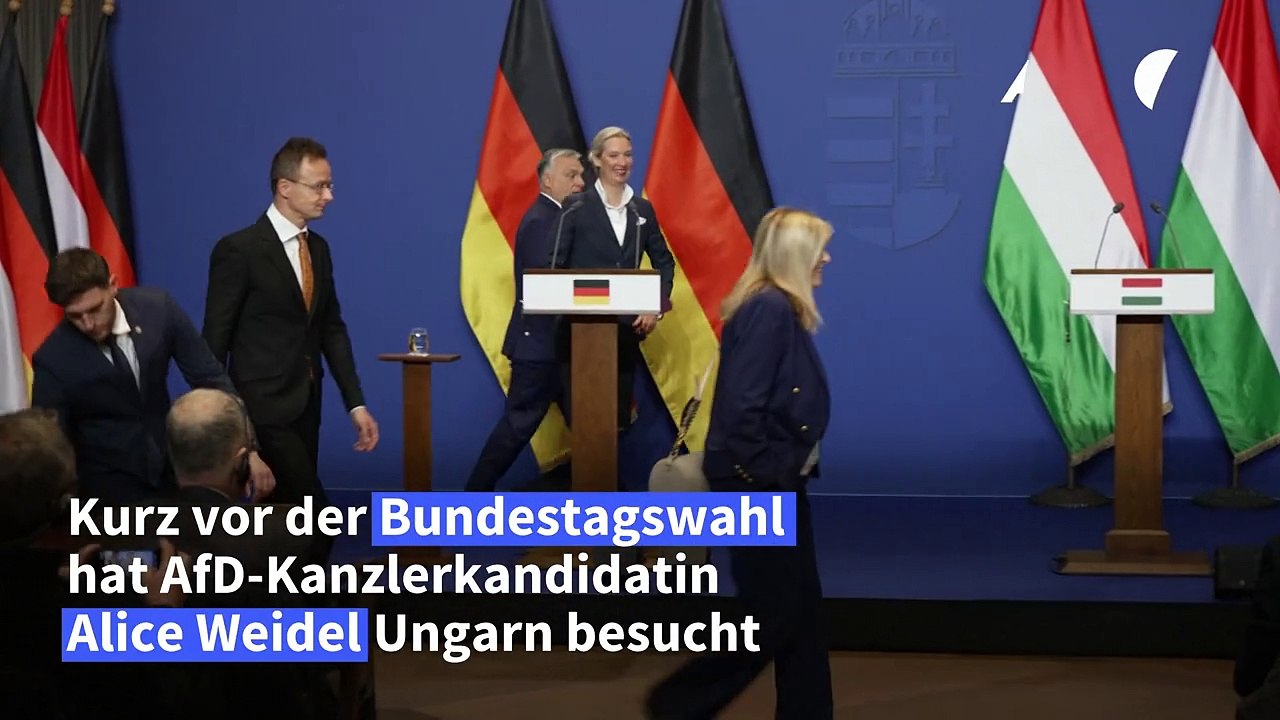 Weidel: Ungarn ist ein 'großes Vorbild'