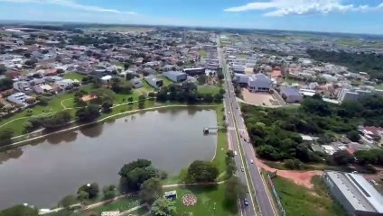 IAT sobrevoa mata onde a onça está escondida em Umuarama