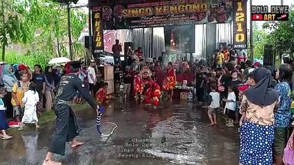 Singo Kumbang X Kewan Alas (Singo Kencono 1210)