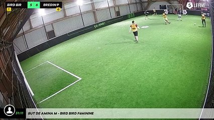 But de Amina M - Bird Bird Féminine