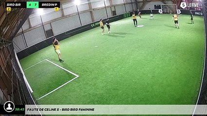 Faute de Celine S - Bird Bird Féminine