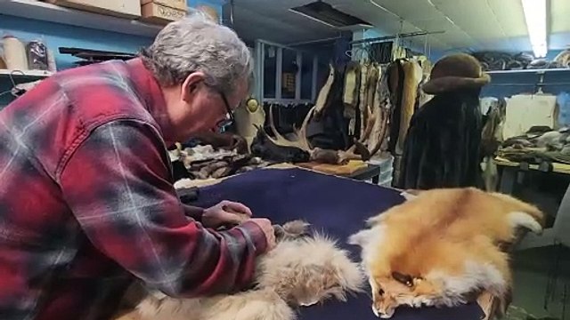 11 fev TOPO PG Bureau agent faune V2