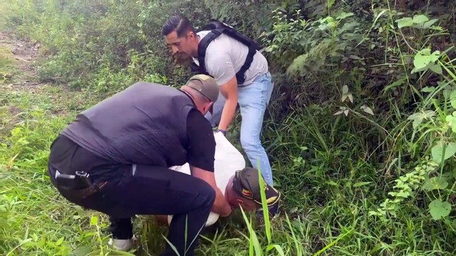 Video | Rescatan a ingeniero que había sido secuestrado en Tolima