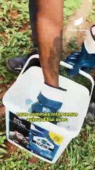 [GUYANE] La mairie de Cayenne a lancé une opération de dératisation