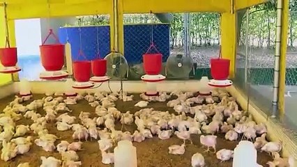 37 ADA Precios Ministro T.1.22