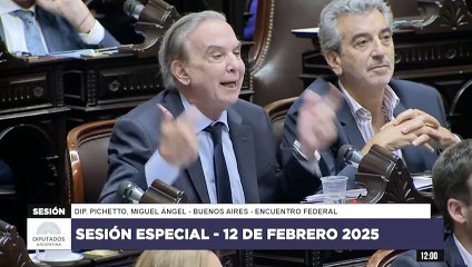 La palabra de Miguel Ángel Pichetto - Sesión especial 12 de febrero 2025