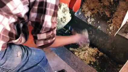 Venta de nixtamal continúa al alza; tamales, platillo estrella de Navidad