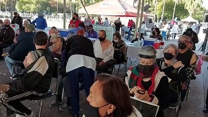 Suspenderán brigadas de vacunación anticovid por fiestas decembrinas