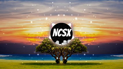 Nova Flux - Pulse of Eternity | No Copyright Sound eXperience