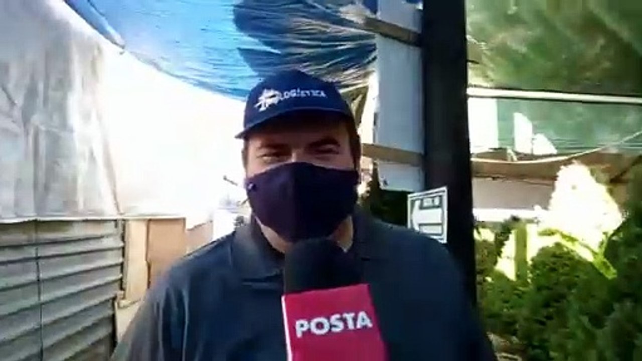 Gran afluencia en la Feria del Pino