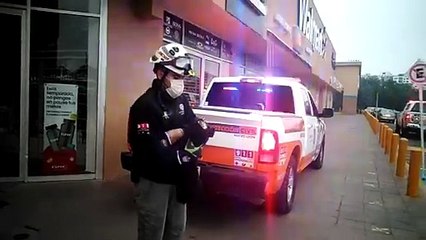 Rescatan a gatita atrapada en techo de centro comercial