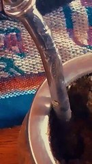 Desde adentro: calor, cosas y plantas.