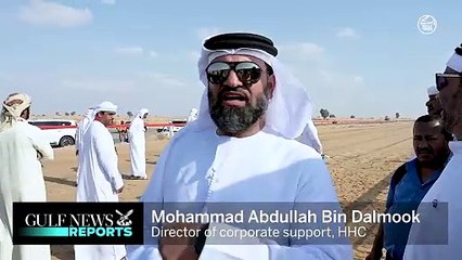 Race hounds chase robotic gazelle in Dubai