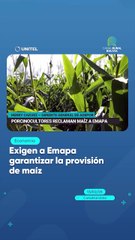 Exigen a Emapa garantizar la provisión de maíz