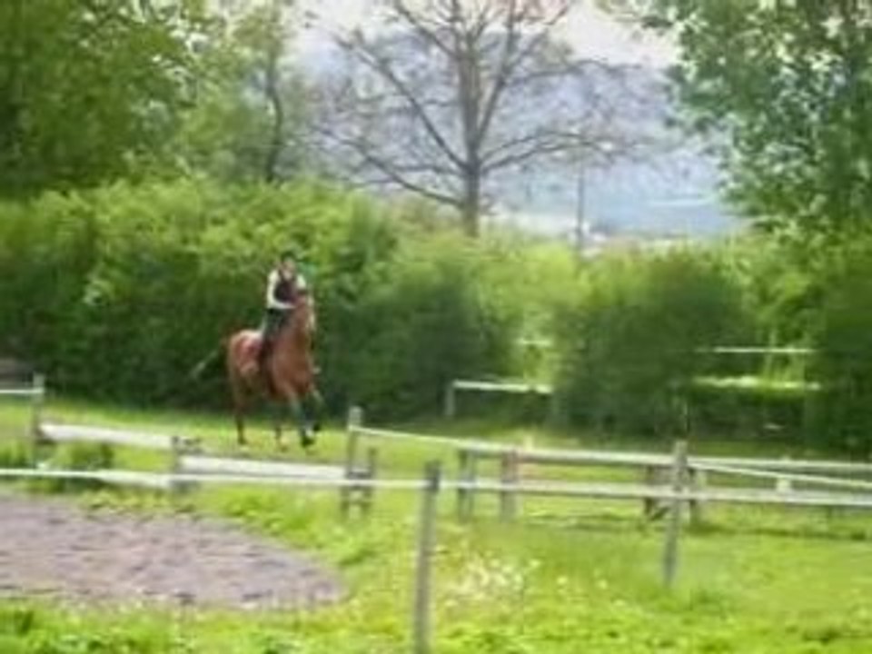 Vidéos sur le cross