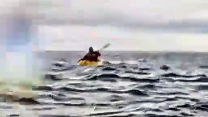 Impactante: Una ballena tragó y expulsó a un joven en el Estrecho de Magallanes
