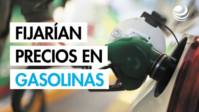 Gobierno y gasolineros fijarían precios entre 21 y 24 pesos por litro