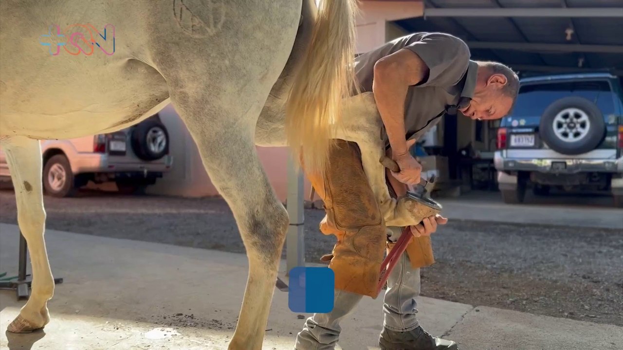 mqn-luis-chaves-el gran maestro del herraje en Costa Rica-120225