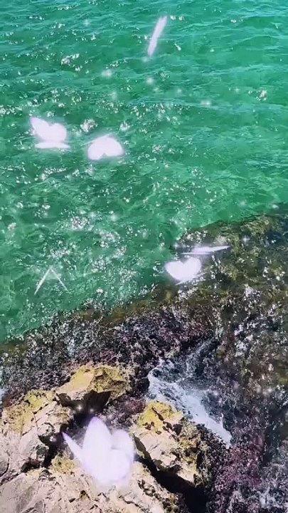 J'ai arrêté de me poser des questions sur certaines personnes #motivation #conseils #inspiration #success #citation #proverbe #conseil