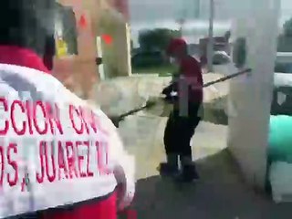 ¡Papelito habla! Aparece dueño de supuesto lobo y lo reclama, es un wolfdog