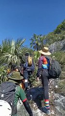 VIDEO: Rescatan a senderista en Cerro de las Mitras