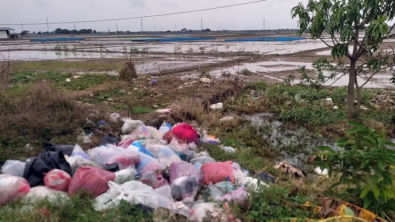 Tumpukan dan Serakan Sampah di Lahan Persawahan