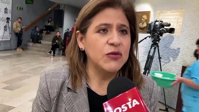 Pide Sandra Pámanes investigar presunta agresión de mujer por diputado
