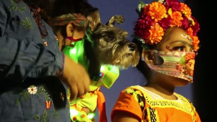 Invitan a concurso de disfraces con mascotas en Escobedo