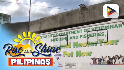 Cebu City, kinilala bilang Pet-friendly City sa Asia