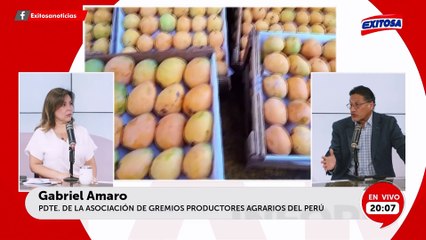 Crisis del mango: "Lo que pasó tiene que ver con la lluvias", según Gabriel Amaro