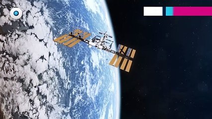 ¿Asteroide 2024 YR4 se acerca a la Tierra? Aquí te contamos la verdad I Reporte Indigo