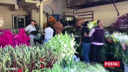 Llegan toneladas flores de cempasúchil a Monterrey