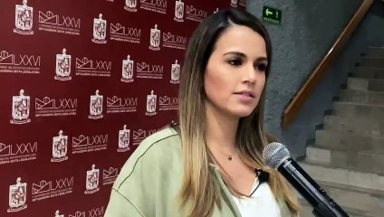 Piden crear plan de mantenimiento para las líneas 1 y 2 del metro